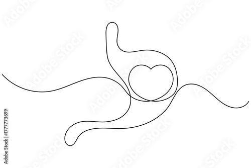 Stomach anatomy continuous one line drawing on white background minimalist digestive organ outline vector illustration