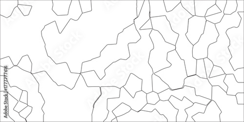 Fabric vintage print. Quartz glass natural fragment .Abstract black and white illustration of interconnected polygon shapes creating a textured pattern with irregular cell structures perfect for backg