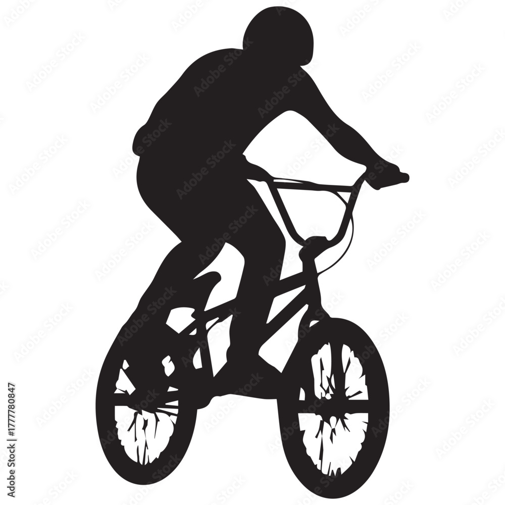 Fototapeta premium Web