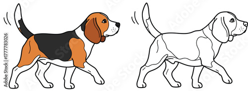Adorable Beagle Dog Walking: A Side View Illustration of a Tricolor Purebred Hound, Perfect for Pet-Themed Designs