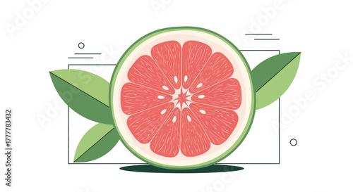 Vibrant And Fresh Cut Citrus Fruit Illustration With Modern Minimalist Design