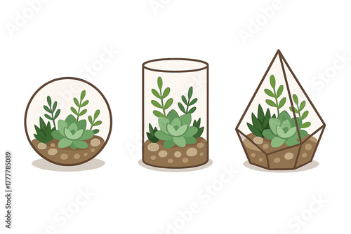 Three cute succulent terrariums in geometric and cylindrical glass containers