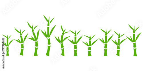 Collection of green bamboo stalks with leaves isolated on white background