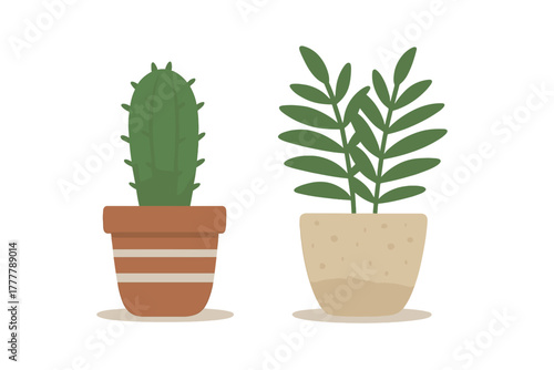 Pair of potted houseplants featuring a green cactus and a leafy succulent isolated on white background