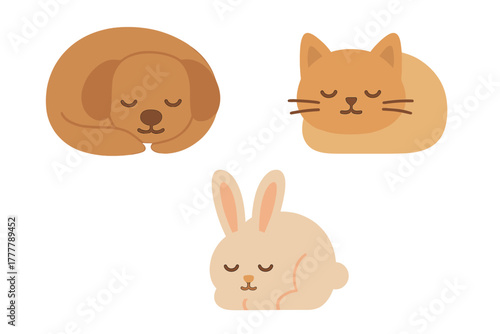 Adorable sleeping dog, cat, and rabbit domestic animals resting peacefully