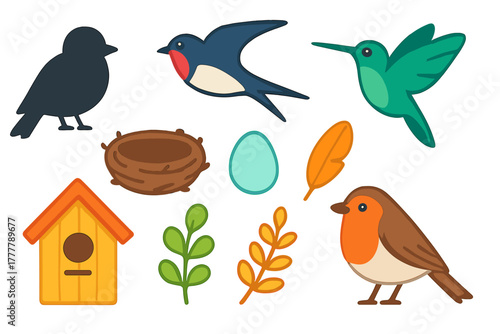 Cute spring birds, robin, swallow, hummingbird, nest, egg, feather, and birdhouse