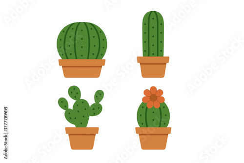Four potted cactus plants with green bodies and brown terracotta pots isolated on white