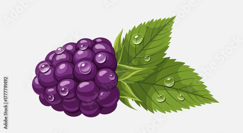 Vibrant Blackberry Illustration Featuring Leaf Accents and Water Droplets on White Background