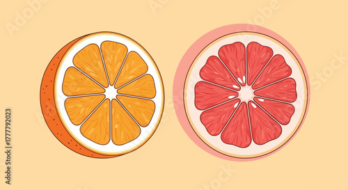 Vibrant Citrus Fruits: Orange and Grapefruit Slices in Flat Illustration Style Design
