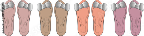 Feet in Various Colors and Shades A Set of Illustrations Depicting Foot Anatomy and Diversity