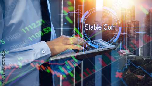 The use of stablecoins in financial and settlement systems
