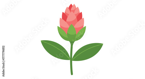 A simple and vibrant illustration of a pink and red flower bud with green leaves and a stem, presented in a clean, flat design style.