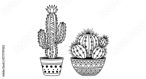 Black and white line art illustration of two potted cacti, one tall with a flower and the other a cluster of round succulents in decorative pots.