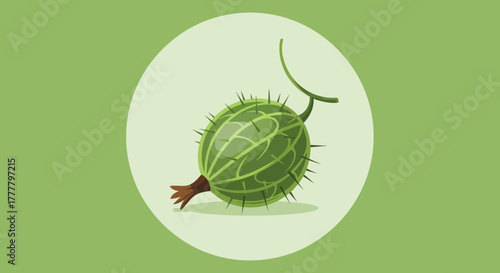 Vibrant Gooseberry Illustration Showcasing Its Spiky Skin and Fresh Juicy Appearance