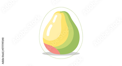 Vibrant Illustrated Avocado Vector With Soft Shadows And Minimalist White Background Concept