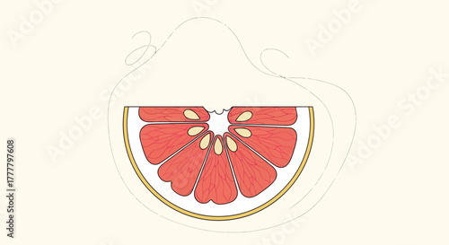 Vibrant Illustrated Citrus Slice Featuring Unique Artistic Delicate Lines Decorations