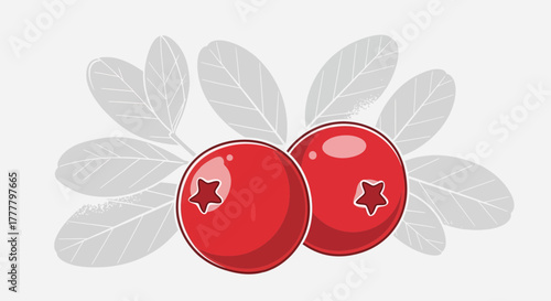Vibrant Illustrated Cranberry Duo With Delicate Leaves Against a White Backdrop