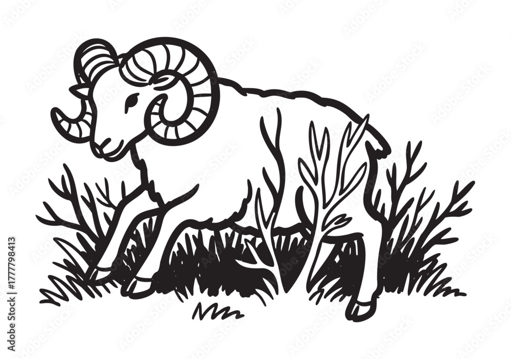 Fototapeta premium Black outline drawing of a ram with large curled horns walking among grass and bushes, featuring detailed lines and shading for a naturalistic effect.