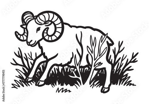 Black outline drawing of a ram with large curled horns walking among grass and bushes, featuring detailed lines and shading for a naturalistic effect.