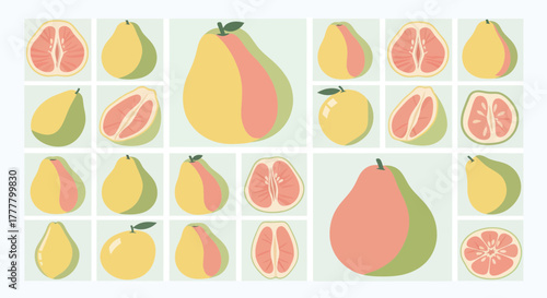 Vibrant Illustrated Pomelo Collection Showcasing Fresh Fruit Variety and Organic Design