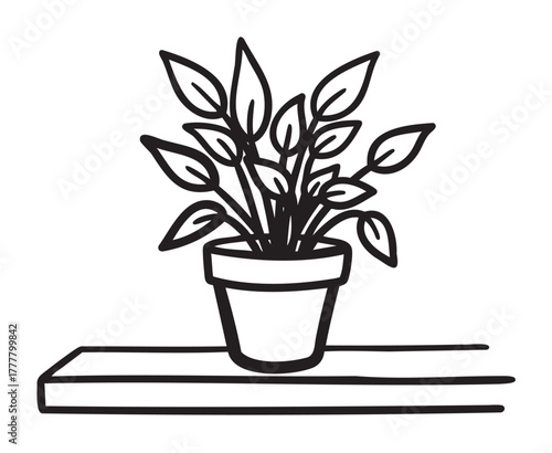 Black outline drawing of a potted plant with large leaves on a wooden shelf. minimalist design suitable for home decor and botanical concepts.