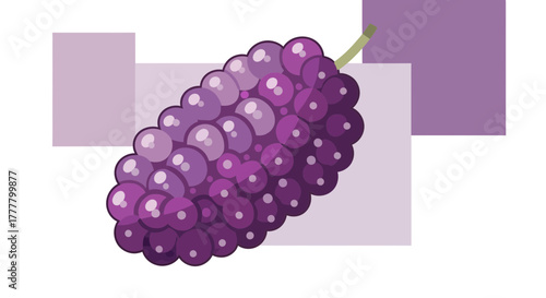 Vibrant Illustrated Purple Grapes With Geometric Background Design and Detailed Texture