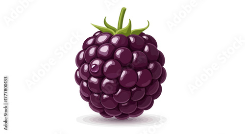 Vibrant Illustration Of A Luscious Blackberry Isolated On A Clean White Background