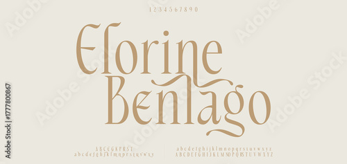 Elegant alphabet letters font and number. Classic Lettering Minimal Fashion Designs. Typography modern serif fonts decorative vintage design concept. vector illustration