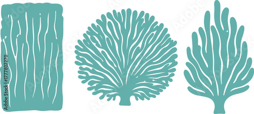Abstract Teal Coral and Wood Texture Shapes. Marine biology, organic patterns, and underwater nature graphics