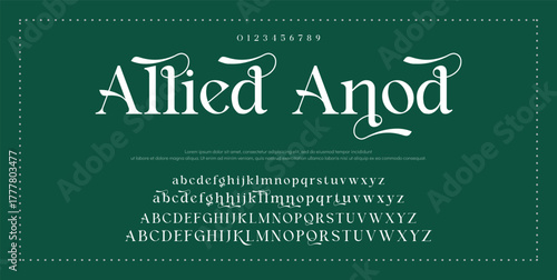 Elegant wedding alphabet letters font and number. Typography Luxury classic lettering serif fonts decorative logo vintage retro concept. vector illustration.