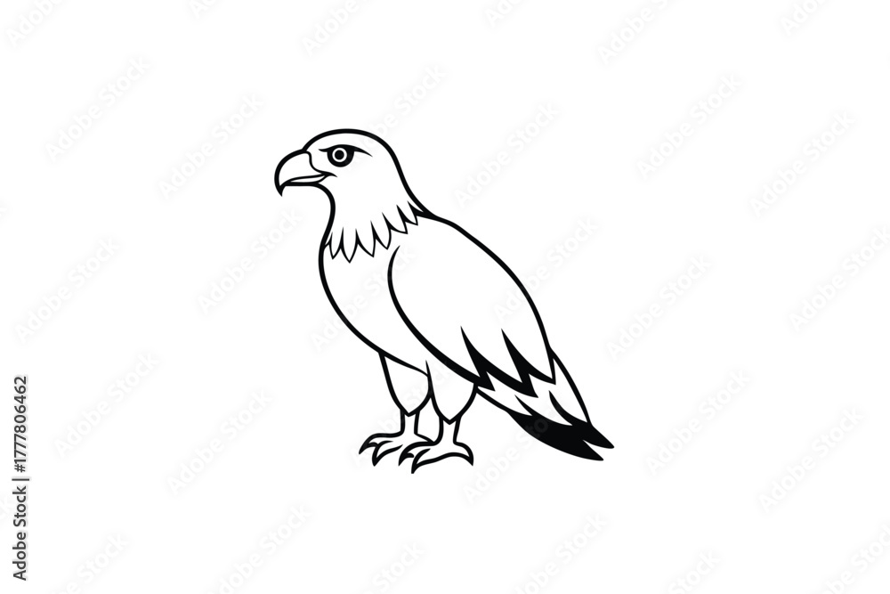 Fototapeta premium harpy eagle bird line art vector