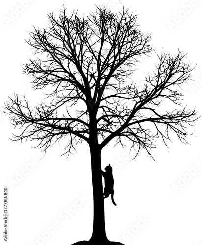 Black cat silhouette climbing a bare tree trunk in stark contrast.