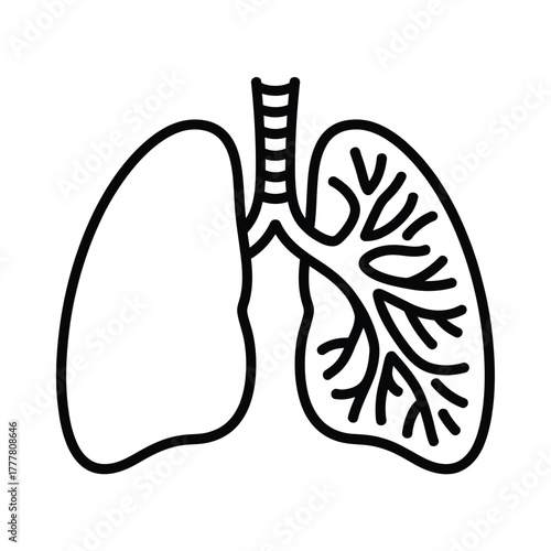 Simple line art illustration of human lungs and trachea
