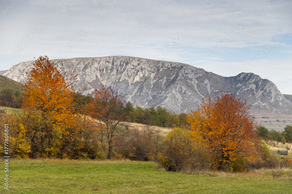 Fototapeta premium amazing autumn landscape with colorful trees