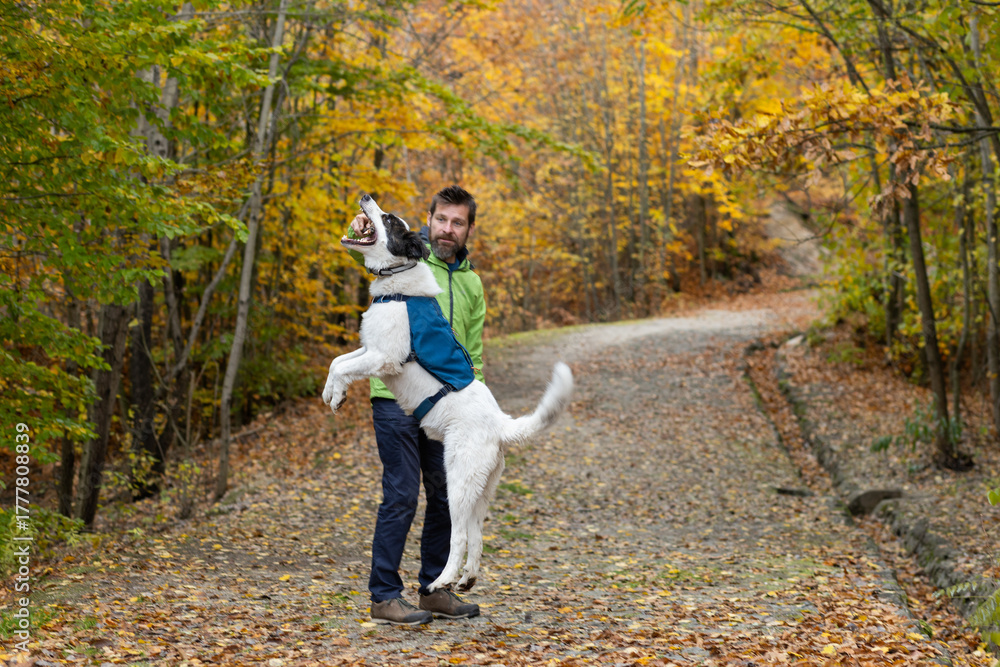 Fototapeta premium happy white dog with owner in autumn forest