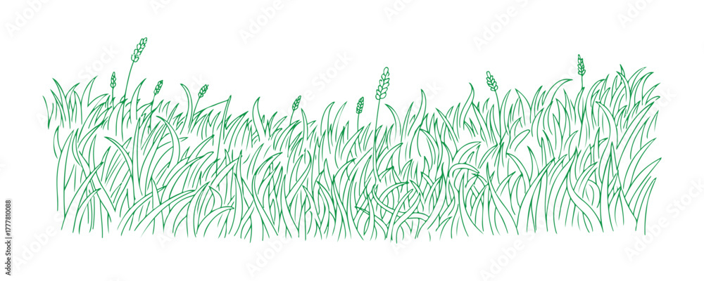 Fototapeta premium A meadow sketched by hand. Cartoon art isolated on a white backdrop.