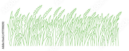 Doodle field with grass scribbles. An outline depicting a summer landscape.