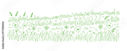 A field filled with grass doodles.