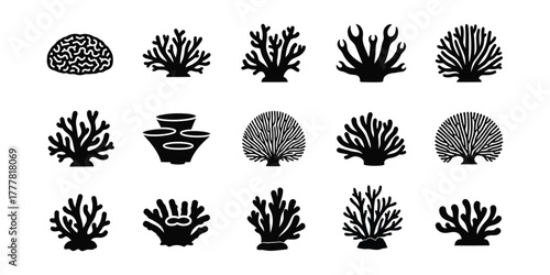 Collection of coral silhouettes isolated on white background for design needs