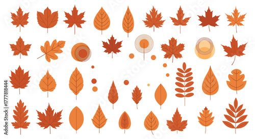 A vibrant collection of autumn leaves and seasonal elements in various stylized shapes and warm fall colors, perfect for design projects.