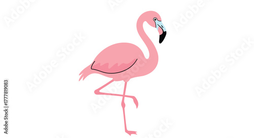 A charming pink flamingo illustration features the bird standing on one slender leg, highlighting its iconic color and graceful posture.