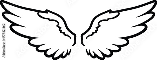 Pair of angel wings for freedom concept