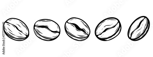 Minimalist line art banner featuring five coffee beans in a row. Perfect for cafe branding, website header, menu design, and packaging layout.