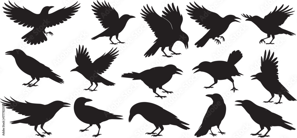 Obraz premium Crow silhouette vector set, crow and raven silhouette set flying and standing birds vector illustrator