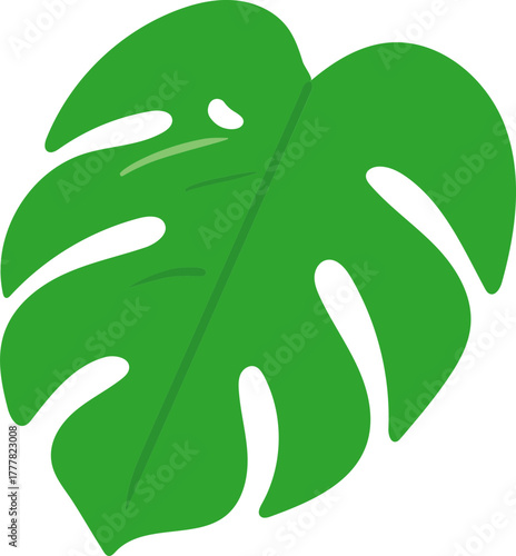 Monstera Deliciosa Leaf and Swiss Cheese Plant Tropical Foliage Vector Icons Collection