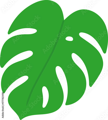Monstera Deliciosa Leaf and Swiss Cheese Plant Tropical Foliage Vector Icons Collection