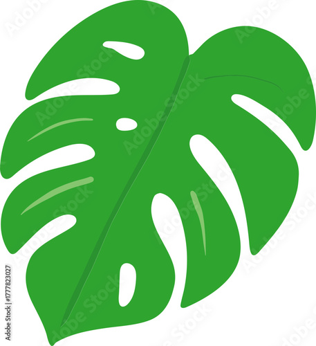 Monstera Deliciosa Leaf and Swiss Cheese Plant Tropical Foliage Vector Icons Collection