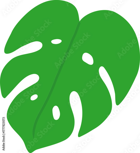 Monstera Deliciosa Leaf and Swiss Cheese Plant Tropical Foliage Vector Icons Collection