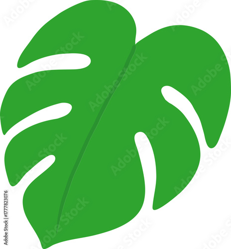 Monstera Deliciosa Leaf and Swiss Cheese Plant Tropical Foliage Vector Icons Collection