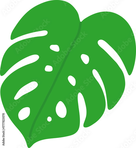 Monstera Deliciosa Leaf and Swiss Cheese Plant Tropical Foliage Vector Icons Collection